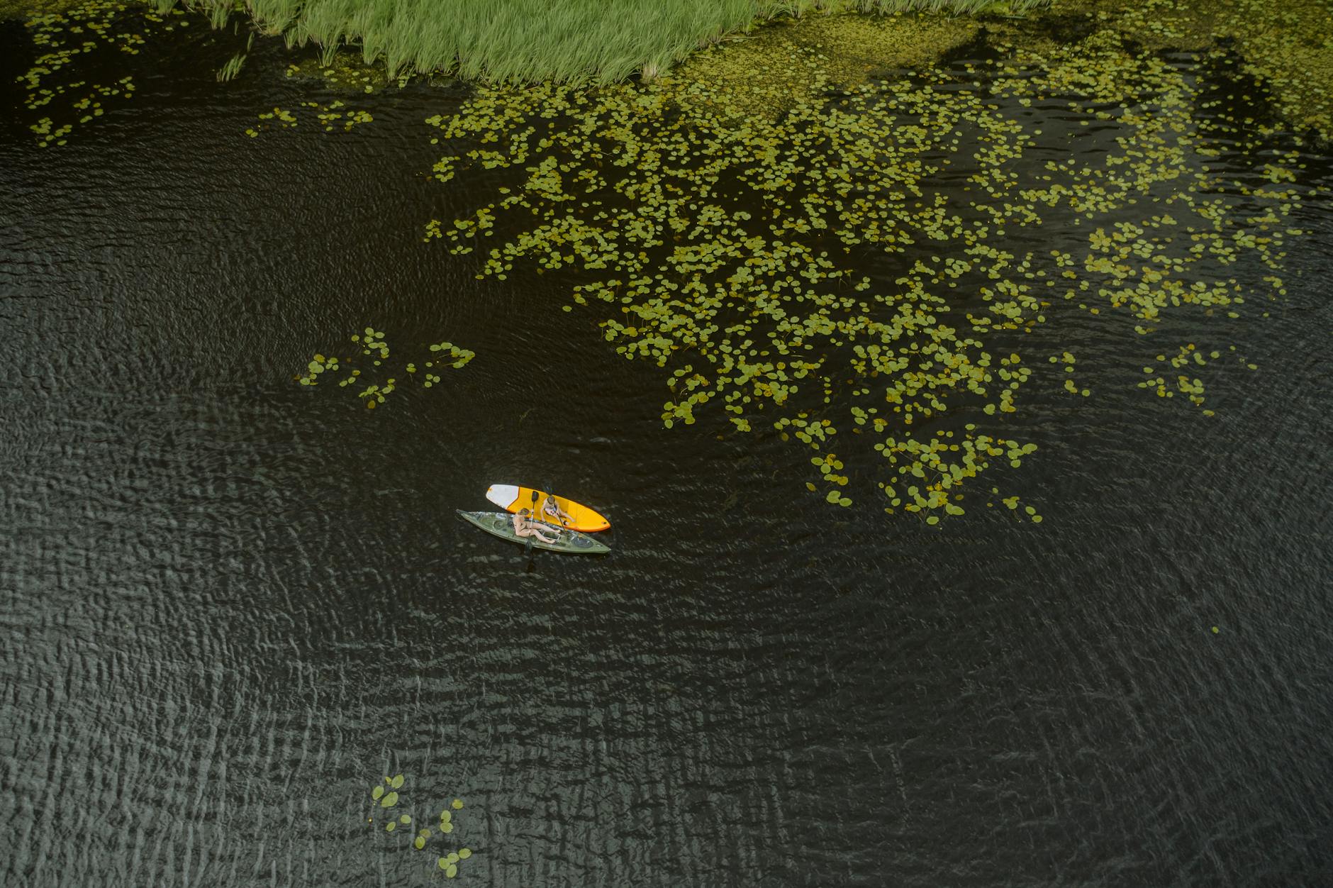 Metro Detroit’s Best Adventures for Kids 