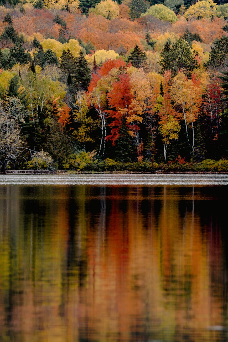 7 Storybook Michigan Towns for the Perfect Autumn Escape