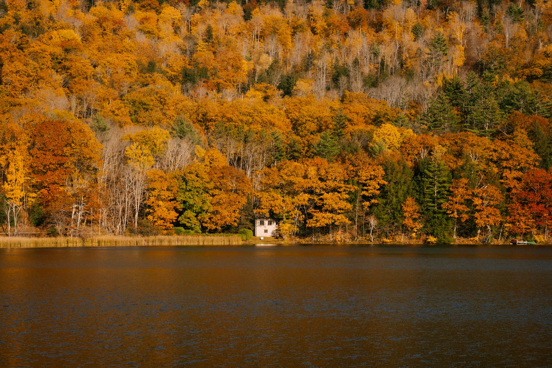 Where to See the Fall Colors in Michigan