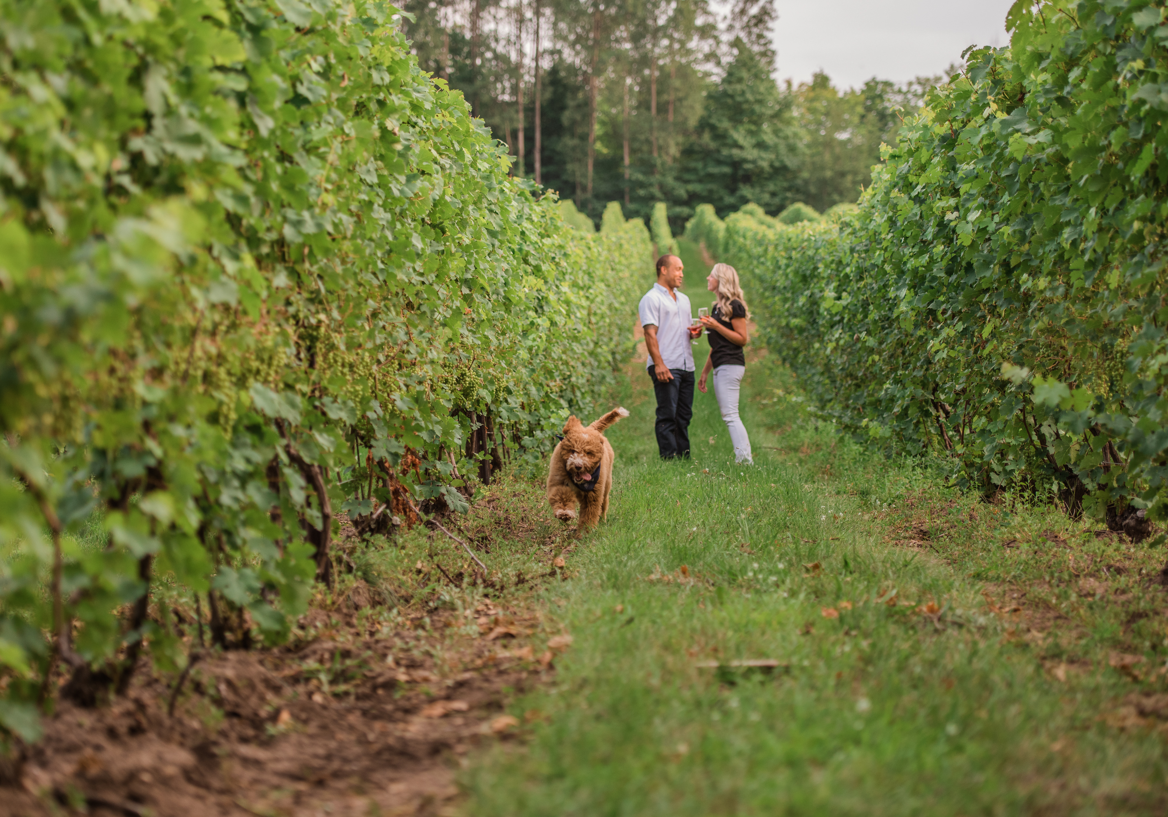 Traverse Wine Coast Inns Take #1 and #2 in USA TODAY Awards