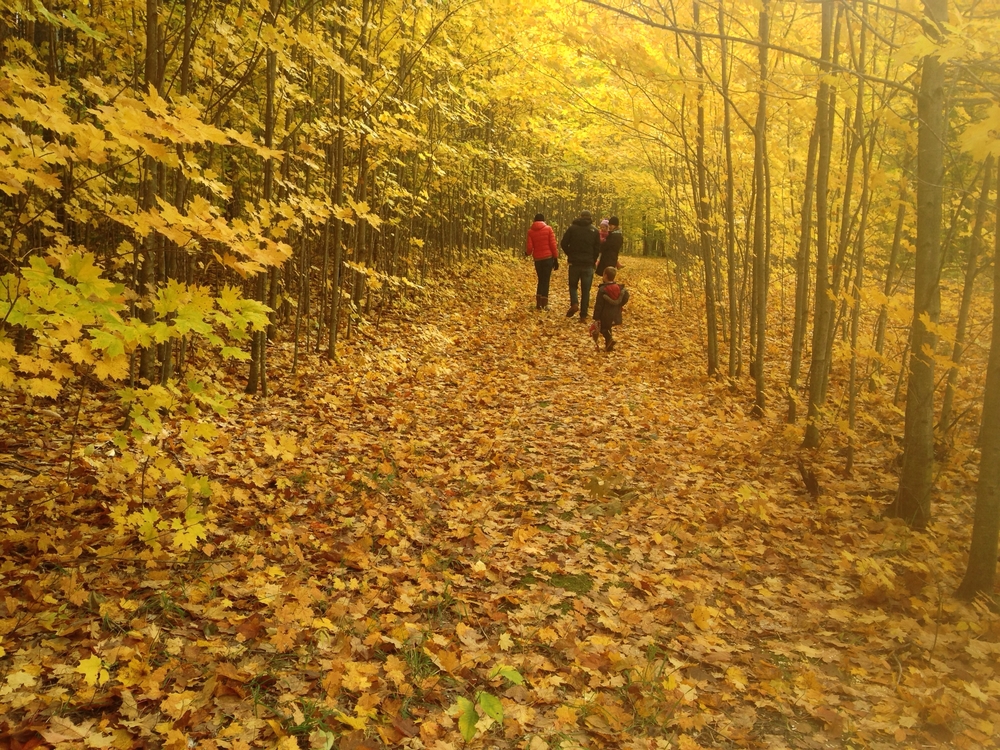 Michigan’s Best Family-Friendly Hiking Trails