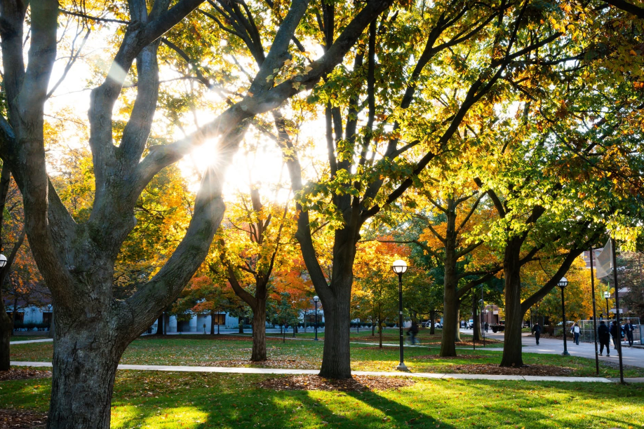 48 Hours in Ann Arbor With Kids