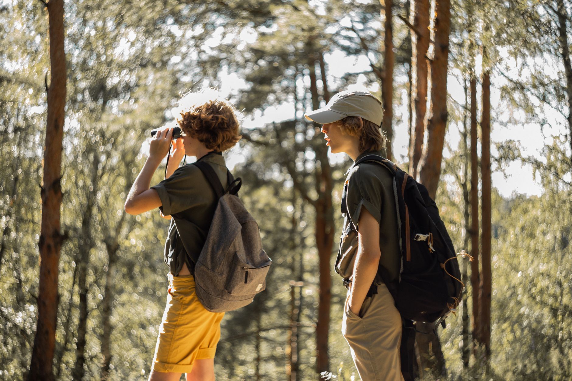 How to Start Birdwatching With Kids