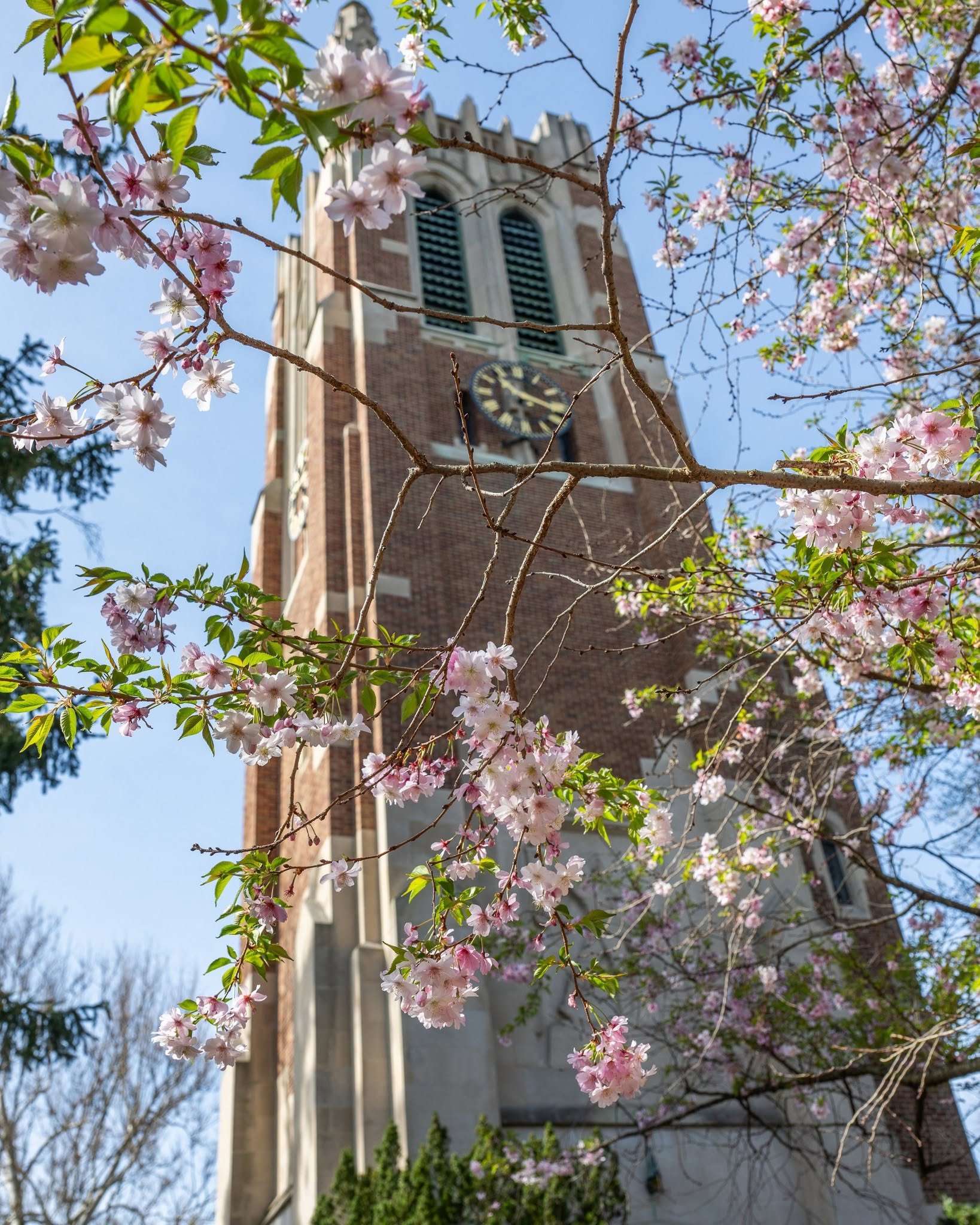 8 Reasons East Lansing Belongs on Your Family Spring-Getaway List